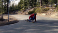 Tahoe Talmont 52 Longboard Deck