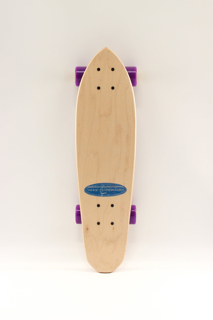 Tahoe Mini Blue Complete Skateboard